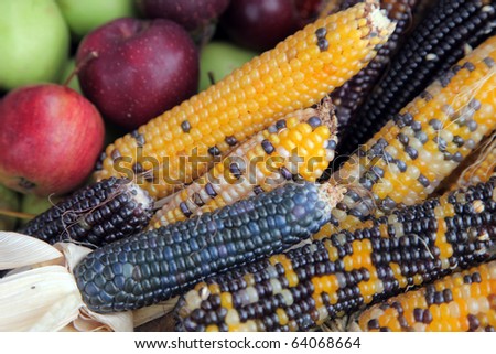 Bushel of apples with colorful Indian corn