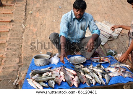 CANNING, INDIA - JANUARY 17: Unidentified man sells fish at fish market in Canning, West Bengal, India on January 17, 2009. Seafood is one of the main part of ration for local people.
