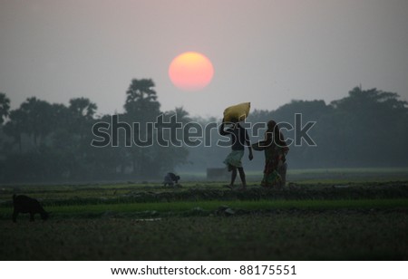 Villagers return home after a hard day on the rice fields, Sundarbans, West Bengal, India