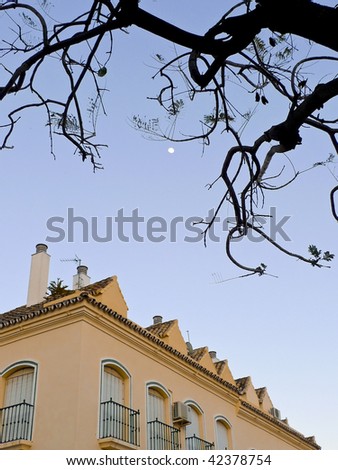 the moon between dry branches and roofs