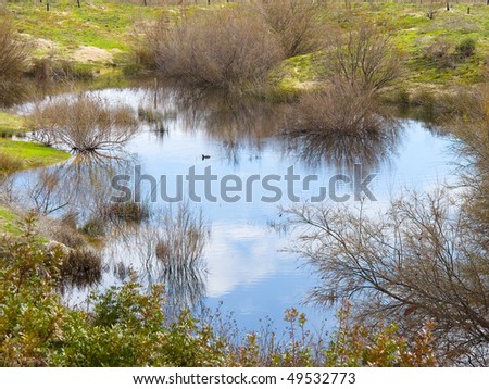 Small lake in Fuente Piedra