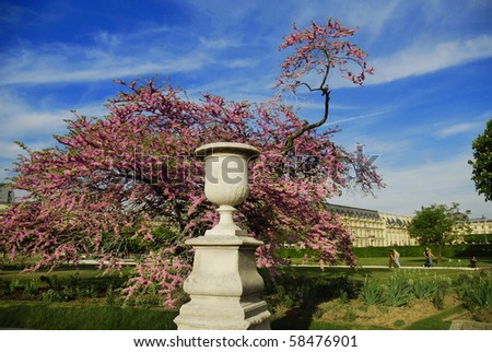 Spring in Paris, Tuileries, France
