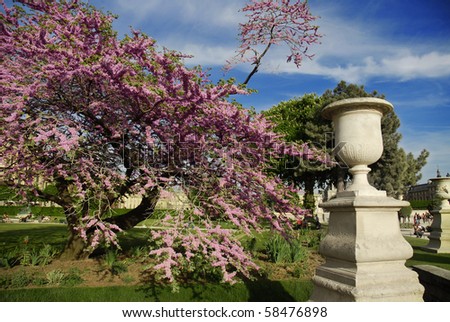 Spring in Paris, Tuileries, France