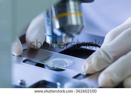 Scientist hands with microscope, examining samples