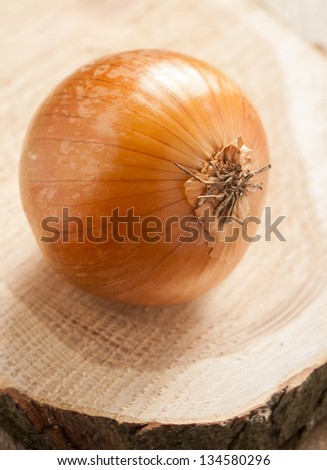 onion on  wooden background