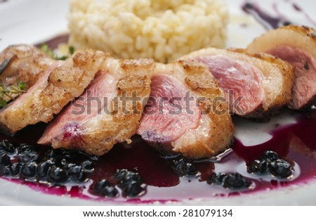 Close up of grilled duck breast covered with sweet red fruit sauce.