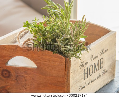 Freshly harvested herbs with old antique scissors on wood background.