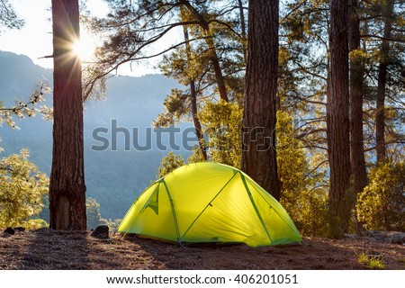 yellow tent in morning forest
