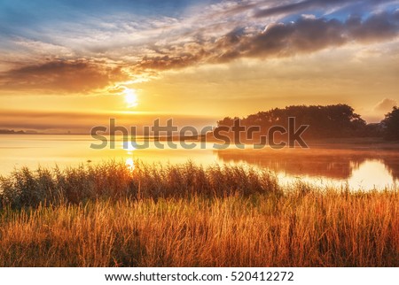 Beautiful sunrise landscape at Northern sea, Sweden. Epic scenery with high grass at foreground and sea, rising in morning sun and dramatic sky and clouds at background.