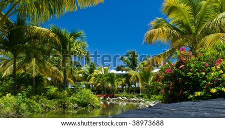 The cosy tropical corner, is a lot of vegetation