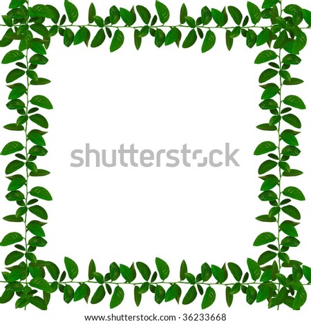 wonderful natural green ribbon frame - similar images available