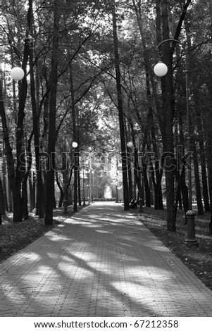 black and white Alley in the park  in the mourning