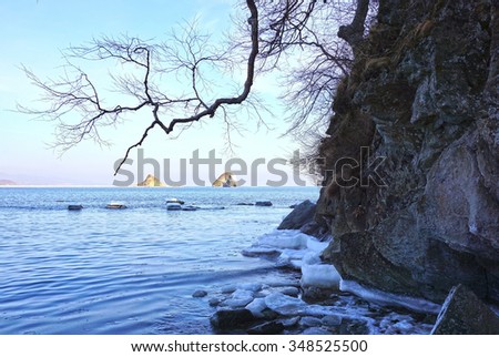 rocks in the ice at the edge of the sea, tree against the sky