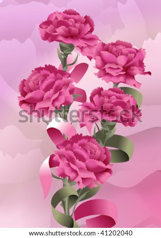 Rose Carnation