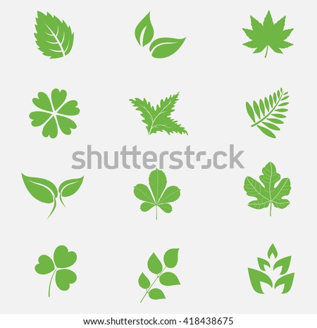Leaf icons set vector