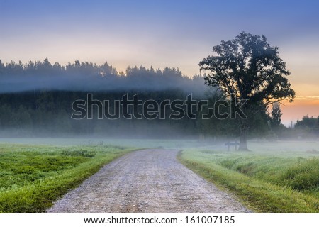 Country road at dawn, Latvia, Europe