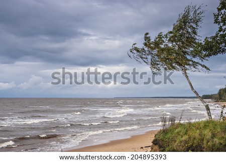 The first autumnal storm at the Baltic Sea, Latvia, Europe