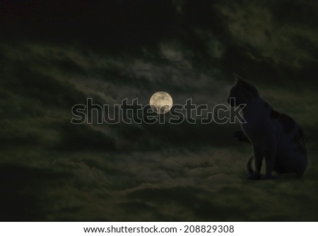 Composite image with black cat looking at moon