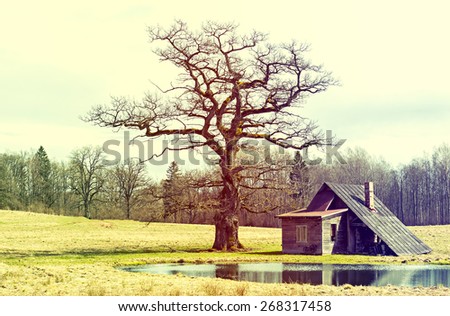Rural bath house with lonely old oak. Image was toned for inspiration of retro style