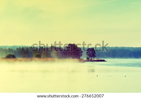 Colorful riverside landscape with morning fog by spring. Image toned for inspiration of retro style