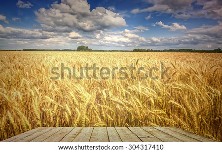 Field with ripening wheat with wooden plank board on foreground. Image toned for inspiration of retro style