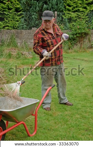 senior male raking grass and tidy up in garden