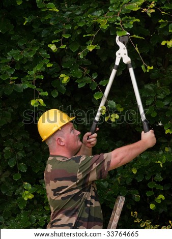 male cutting back tree branches and hedge in garden