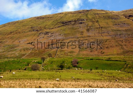 photo of sheep on a mountain side in west ireland