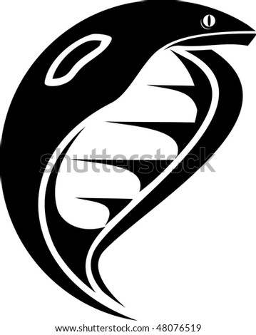 stock vector Vector illustration of a cobra Black and white