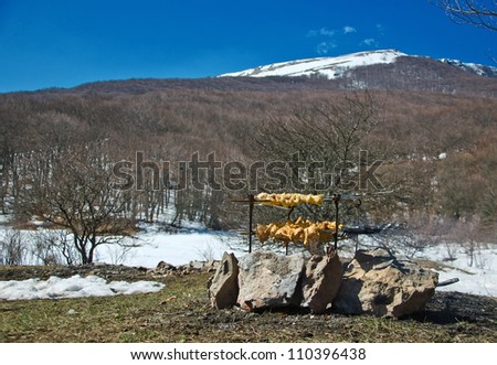 Barbecue In Snow