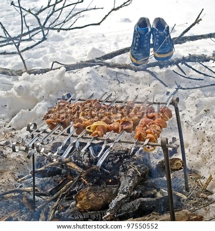 Barbecue In Snow