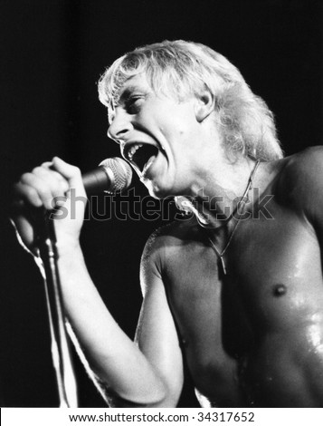 LONDON-JULY 21: Andy Ellison, lead singer of British pop group Radio Stars, performs live on stage on July 21, 1978 in London. He had previously been in John\'s Children with the late Marc Bolan.