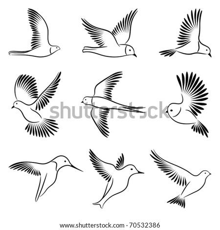 sketches of birds. set of sketches of irds.