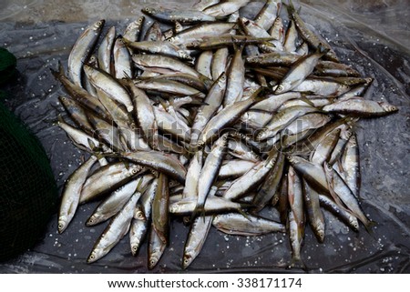 Small silver fish on market floor.