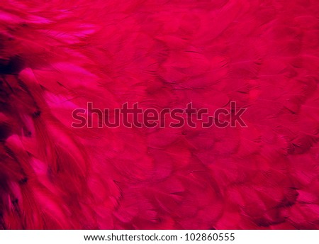 A beautiful fairy-tale glamor abstract background made ??of feathers, purple, cherry, wine.