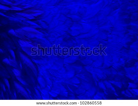 A beautiful fairy-tale glamor abstract background made ??of feathers, blue, night, sulfate