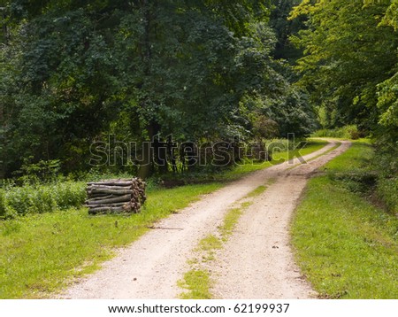 Dirty rural forest road passing a wood stack
