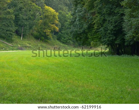 Beautiful green clearing field in a forest - picture with copy-space