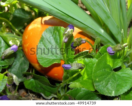 Easter egg hidden in a garden