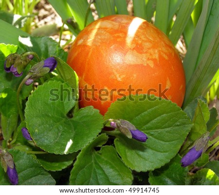 Orange easter egg hidden in a garden