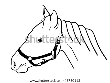 stock vector Horse head isolated on the white