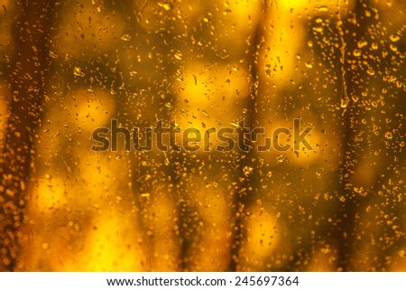 window rain blurred trees in the forest