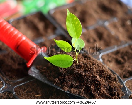 An image of a shovel with soil and plant
