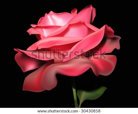 red rose flower background. stock vector : Flower red rose