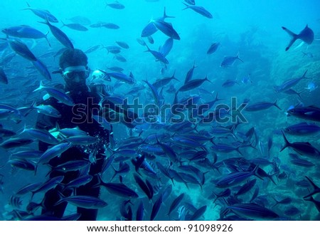 diver swims with the fishes, the view from the submarine