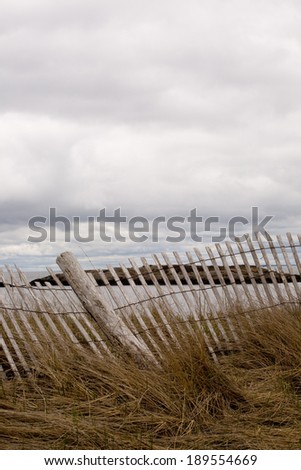 Broken Dune Fence