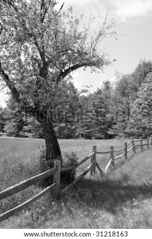 Black and white broken fence scene