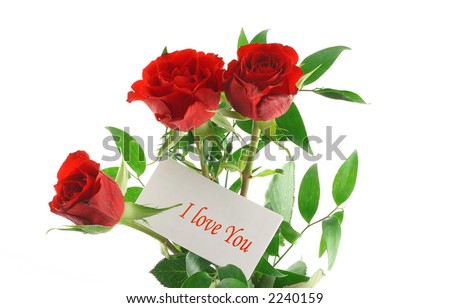I Love You Red Rose. red roses with I love you