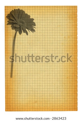 XXL size stained squared paper page with flower motif