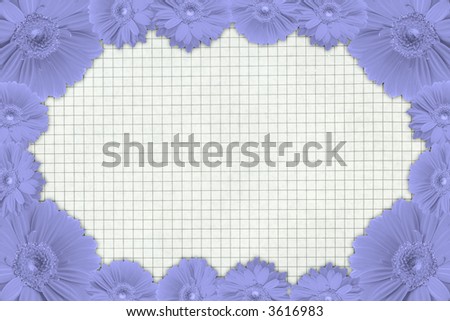 high resolution gerbera frame against squared paper page